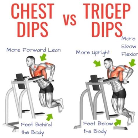 chest dp|leaning forward for chest dip.